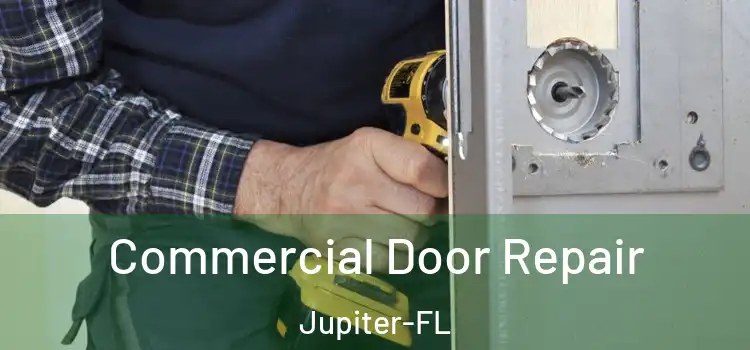  Commercial Door Repair Jupiter-FL