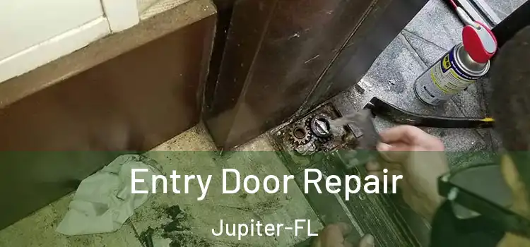 Entry Door Repair Jupiter-FL