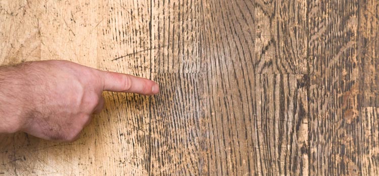 Wood Door Scratch Repair in Jupiter